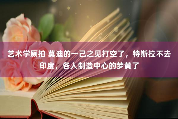 艺术学厕拍 莫迪的一己之见打空了，特斯拉不去印度，各人制造中心的梦黄了