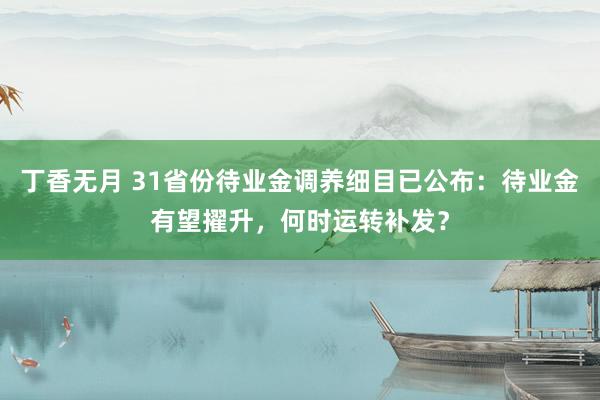 丁香无月 31省份待业金调养细目已公布：待业金有望擢升，何时运转补发？