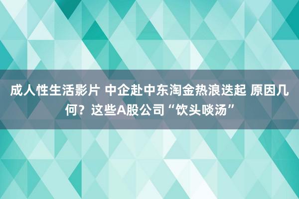 成人性生活影片 中企赴中东淘金热浪迭起 原因几何？这些A股公司“饮头啖汤”