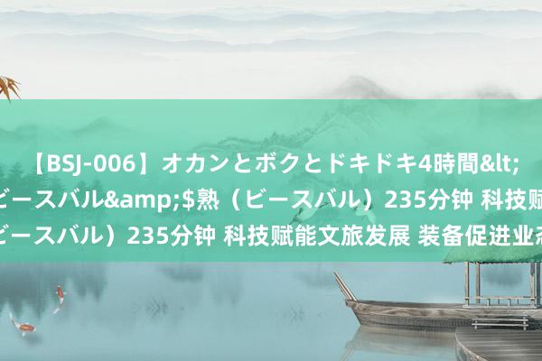 【BSJ-006】オカンとボクとドキドキ4時間</a>2008-04-21ビースバル&$熟（ビースバル）235分钟 科技赋能文旅发展 装备促进业态革新