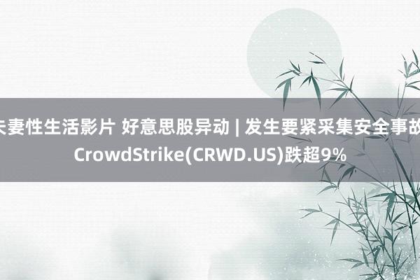 夫妻性生活影片 好意思股异动 | 发生要紧采集安全事故 CrowdStrike(CRWD.US)跌超9%