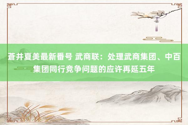 蒼井夏美最新番号 武商联：处理武商集团、中百集团同行竞争问题的应许再延五年