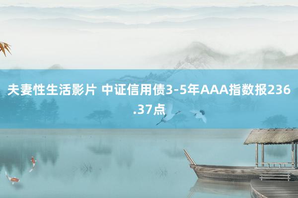 夫妻性生活影片 中证信用债3-5年AAA指数报236.37点