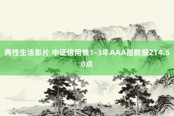 两性生活影片 中证信用债1-3年AAA指数报214.58点