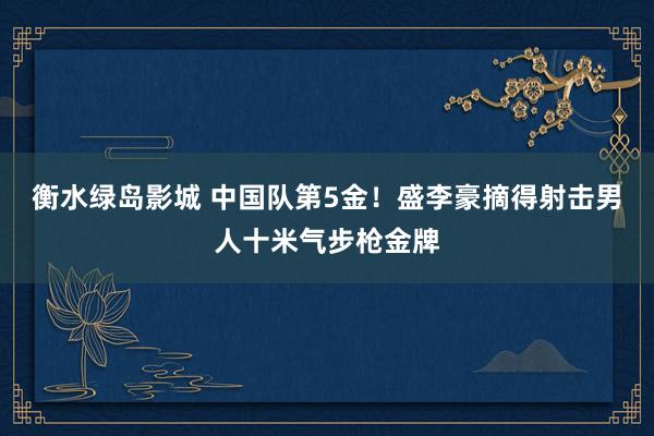 衡水绿岛影城 中国队第5金！盛李豪摘得射击男人十米气步枪金牌