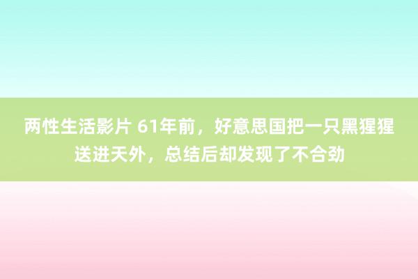 两性生活影片 61年前，好意思国把一只黑猩猩送进天外，总结后却发现了不合劲