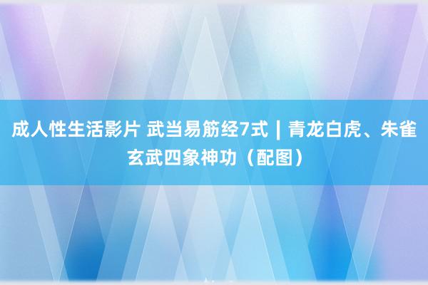 成人性生活影片 武当易筋经7式∣青龙白虎、朱雀玄武四象神功（配图）