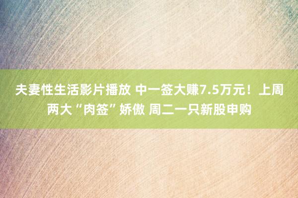 夫妻性生活影片播放 中一签大赚7.5万元！上周两大“肉签”娇傲 周二一只新股申购