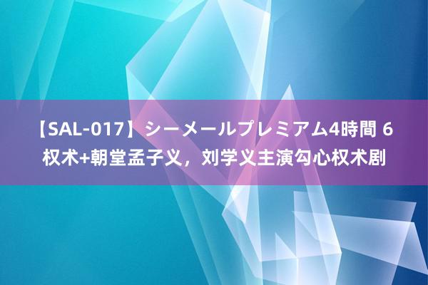 【SAL-017】シーメールプレミアム4時間 6 权术+朝堂孟子义，刘学义主演勾心权术剧