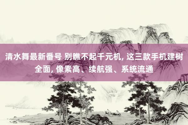 清水舞最新番号 别瞧不起千元机, 这三款手机建树全面, 像素高、续航强、系统流通