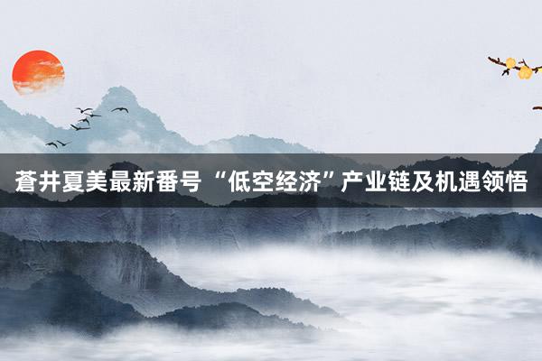 蒼井夏美最新番号 “低空经济”产业链及机遇领悟