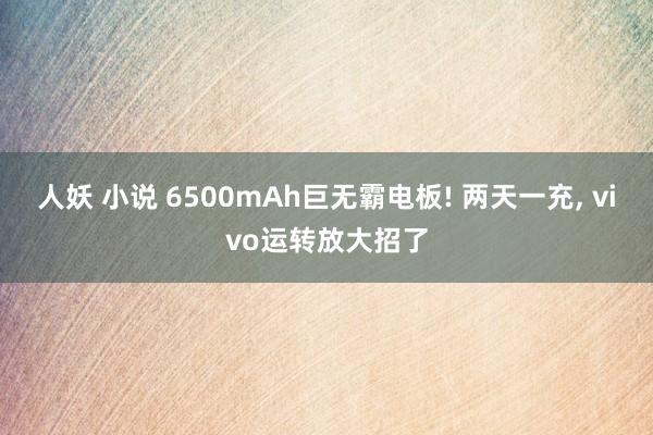 人妖 小说 6500mAh巨无霸电板! 两天一充, vivo运转放大招了